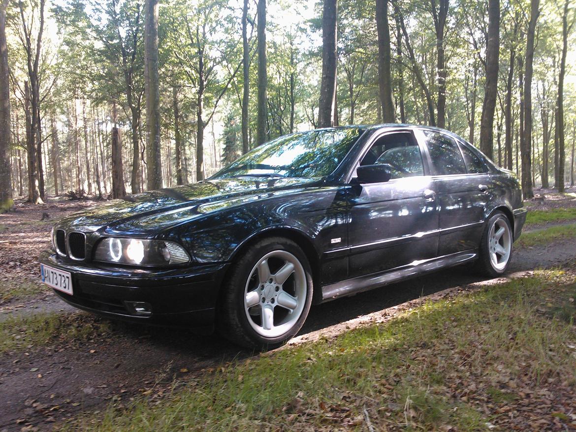 BMW E 39 523i auto billede 9