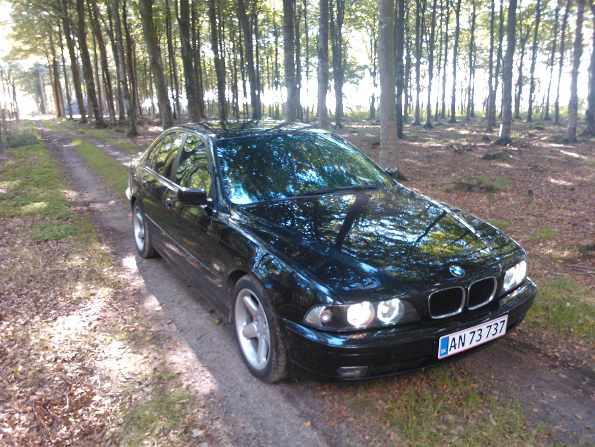 BMW E 39 523i auto billede 10