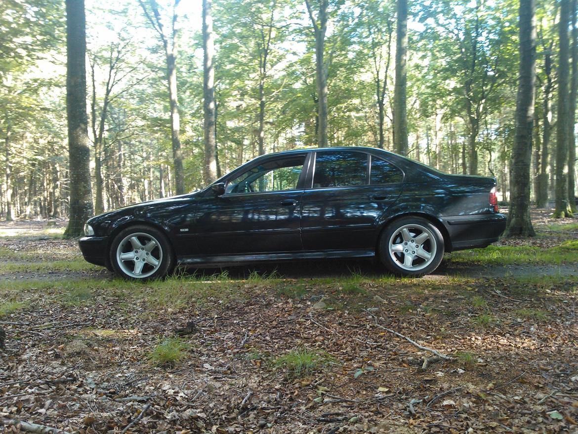 BMW E 39 523i auto billede 12