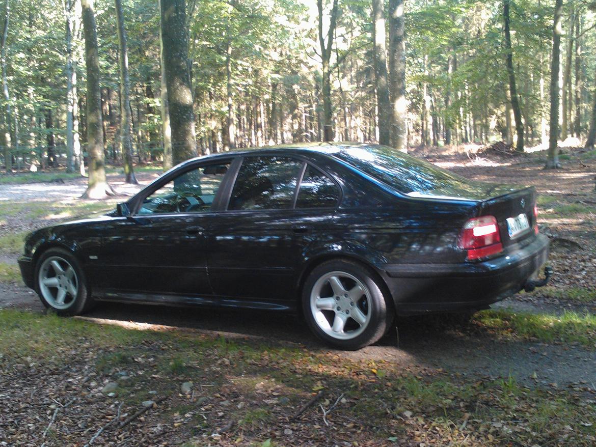 BMW E 39 523i auto billede 11