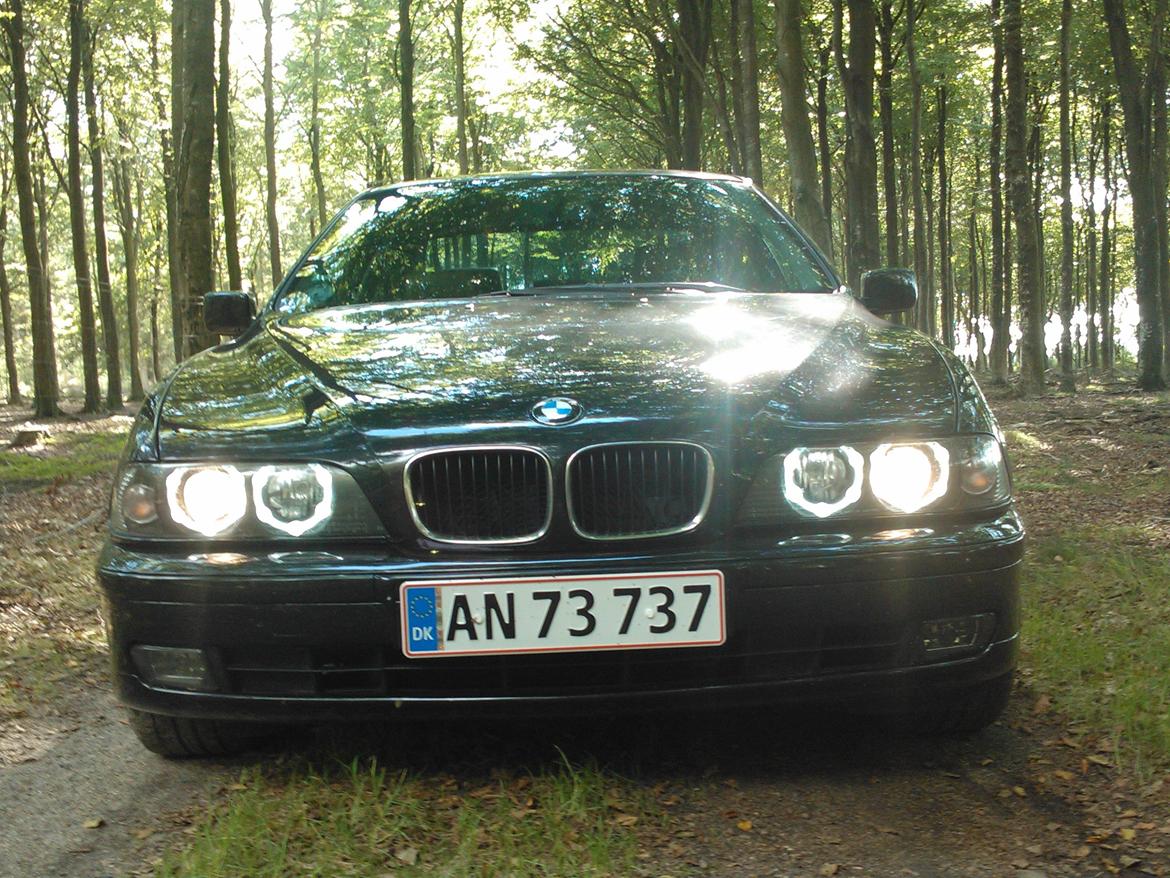 BMW E 39 523i auto billede 13
