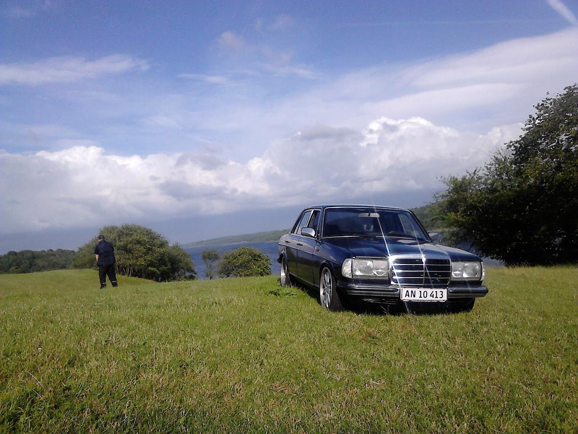 Mercedes Benz w123 - Nice place to pee billede 2