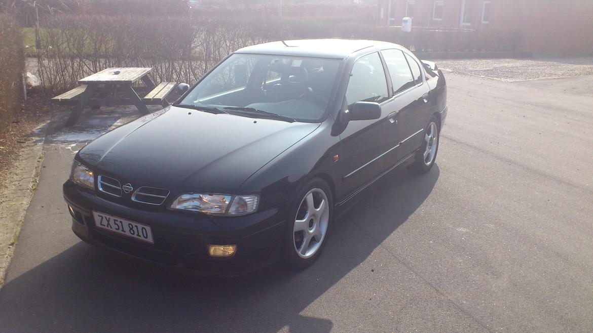 Nissan Primera GT billede 1