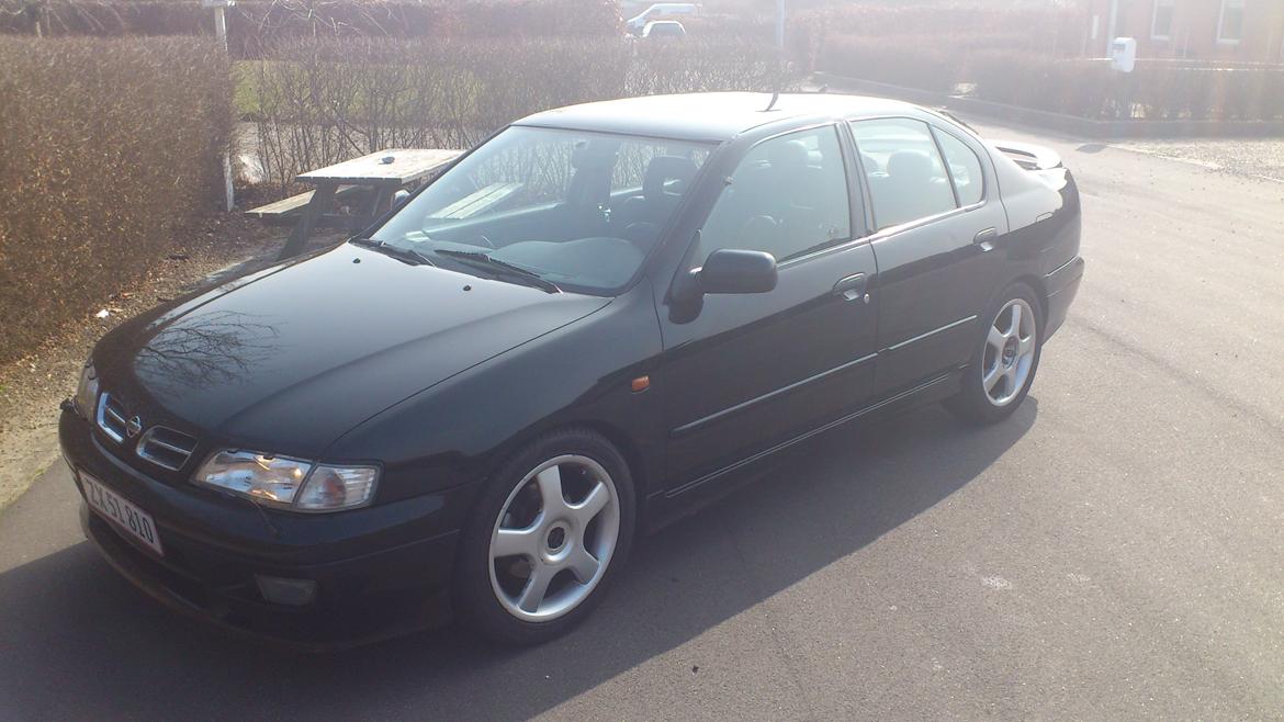 Nissan Primera GT billede 4