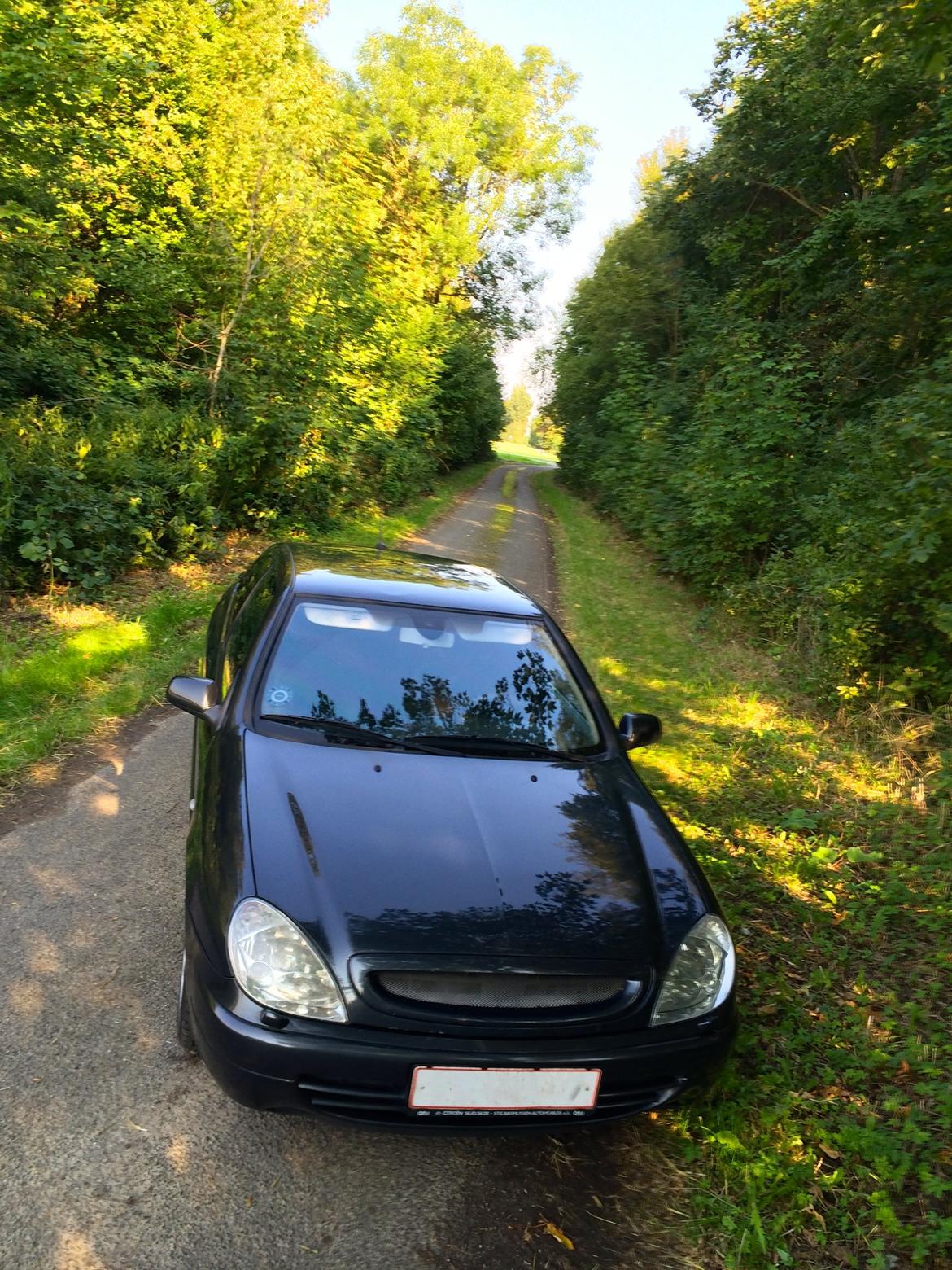 Citroën Xsara 2,0i 16V VTS Coupé billede 18