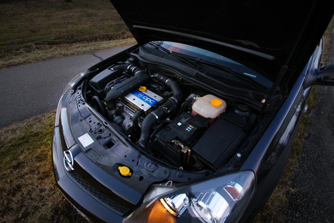 Opel Astra GTC OPC billede 12