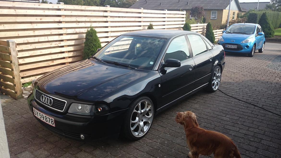 Audi A4 B5 billede 1