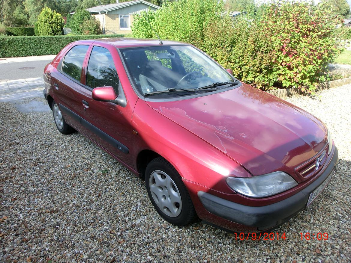 Citroën Xsara 1,4i billede 1