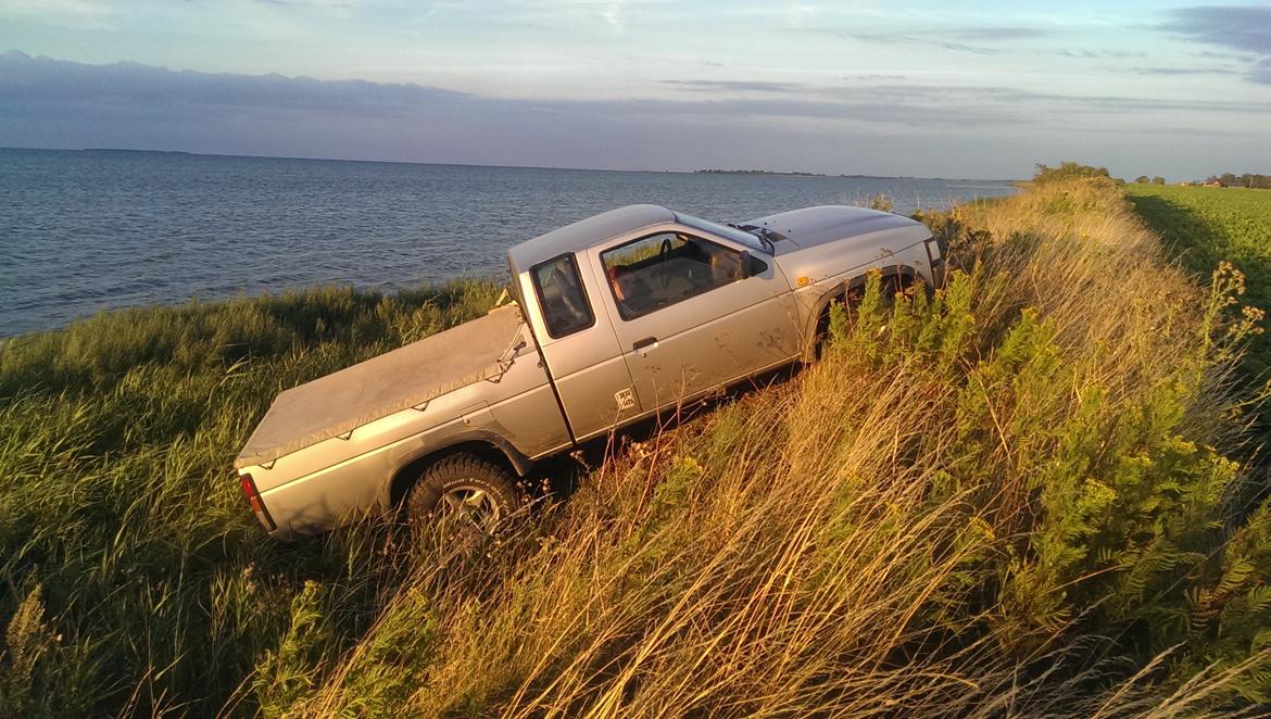 Nissan King Cab D21  billede 8