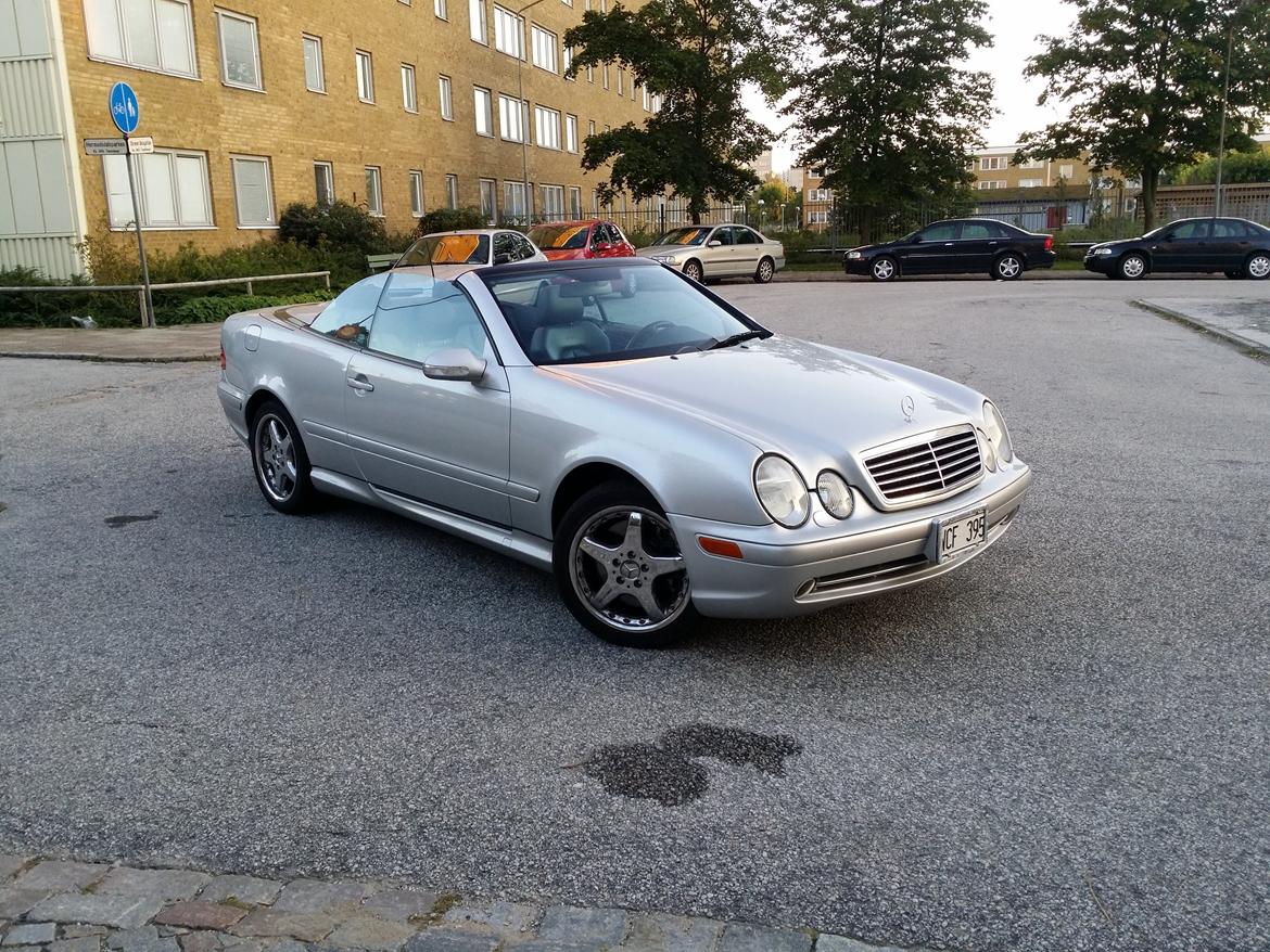 Mercedes Benz CLK55 AMG billede 17
