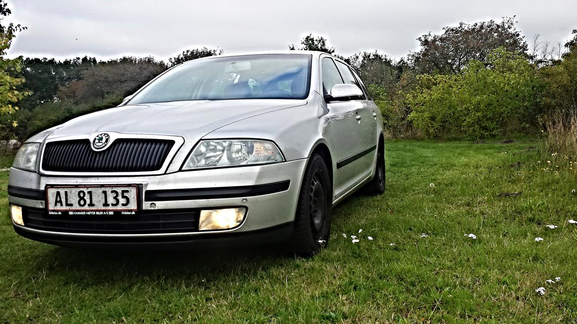 Skoda Octavia 2 Elegance billede 1