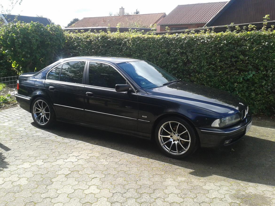 BMW 523i billede 5