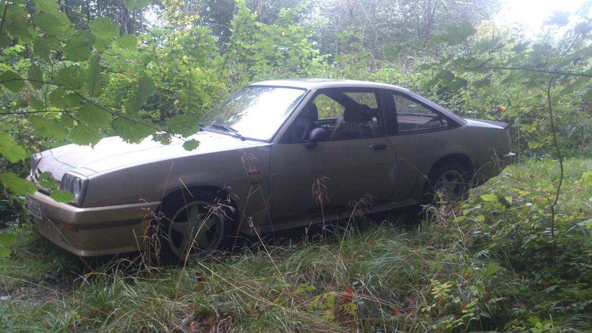 Opel manta billede 1