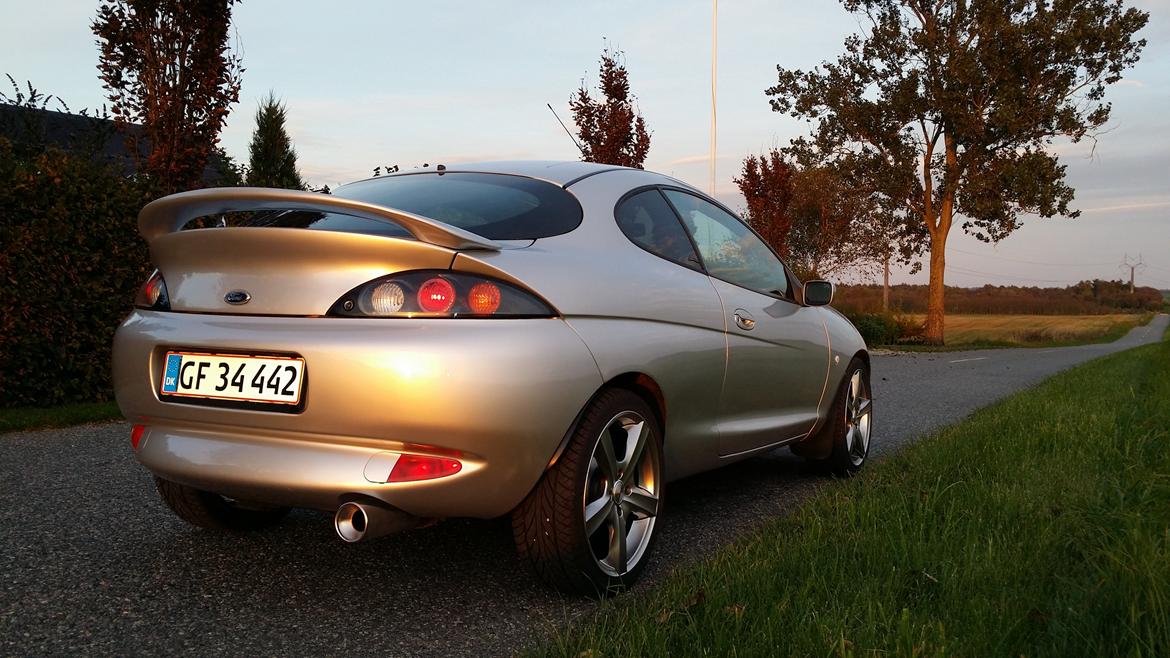 Ford Puma billede 1
