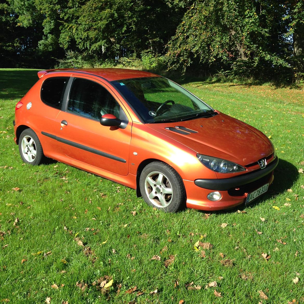 Peugeot 206 s16 billede 4