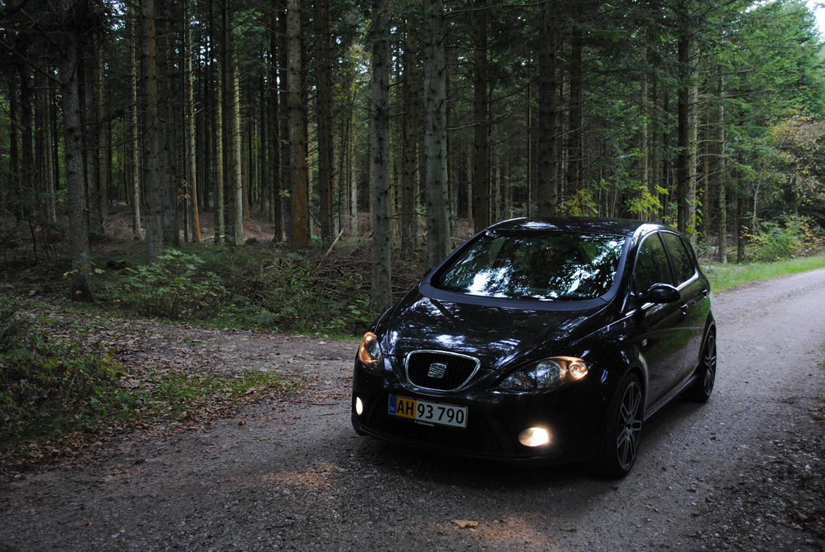 Seat Altea FR TDi billede 7