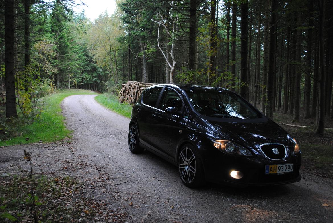 Seat Altea FR TDi billede 8