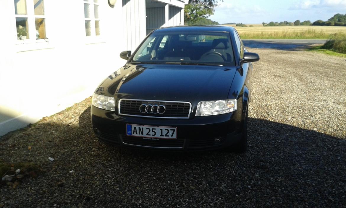 Audi a4 billede 10