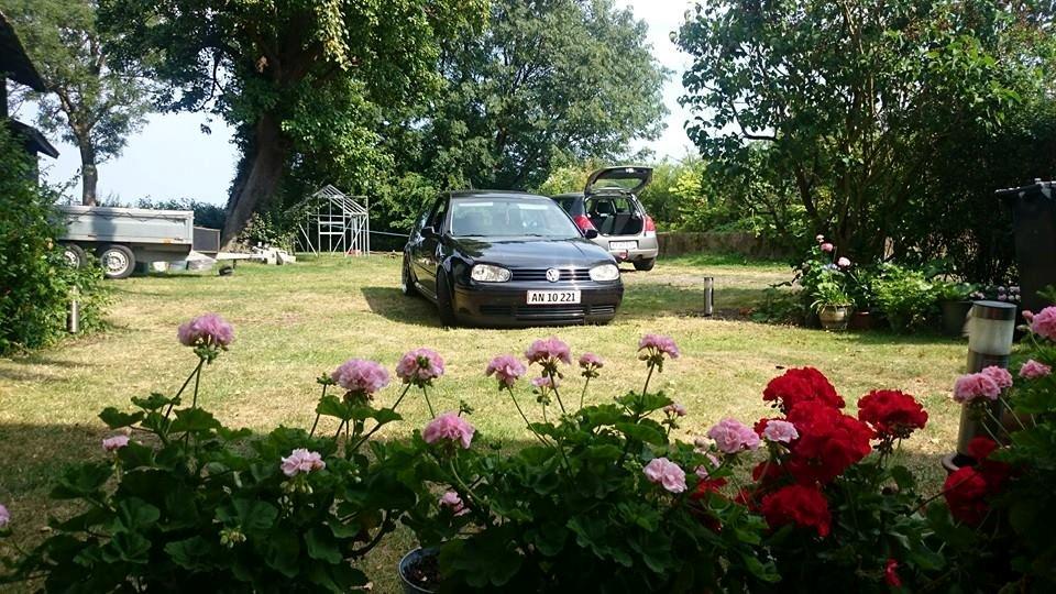 VW golf 4 1,8t gti billede 1