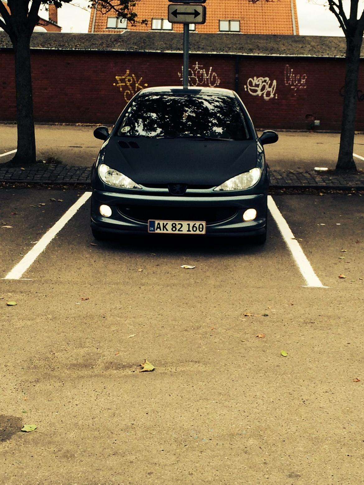 Peugeot 206 1.6 Griffe billede 1