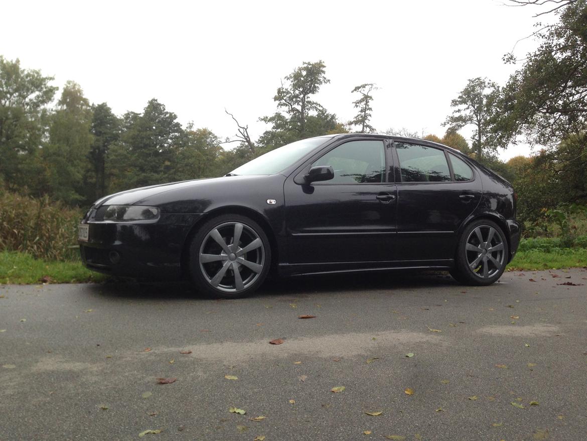 Seat Leon 1.8 T/Turbo 4x4 billede 2