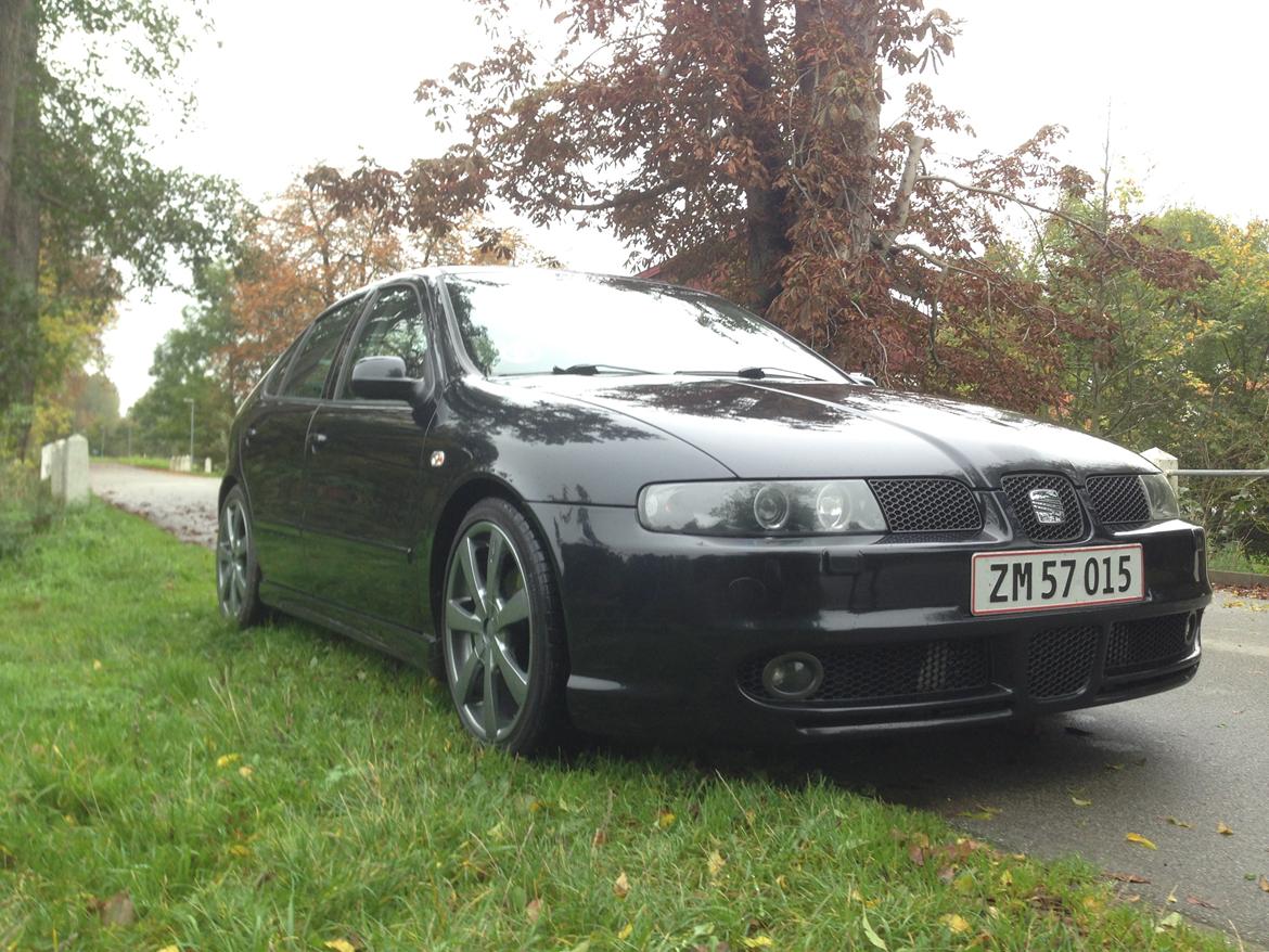 Seat Leon 1.8 T/Turbo 4x4 billede 3