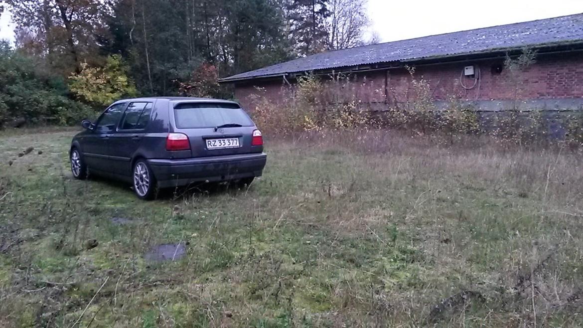 VW Golf Mk3 TDI billede 9