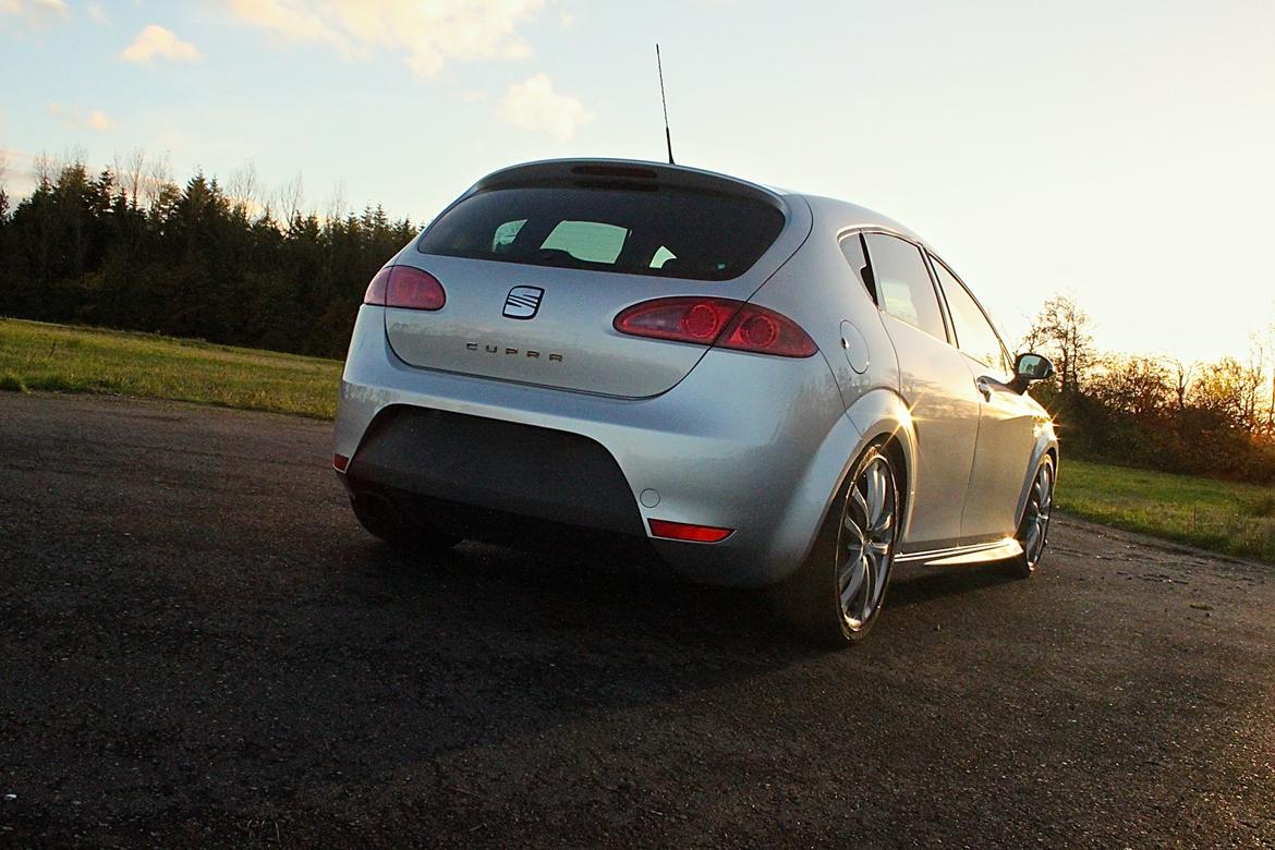 Seat Leon 1P Cupra billede 4