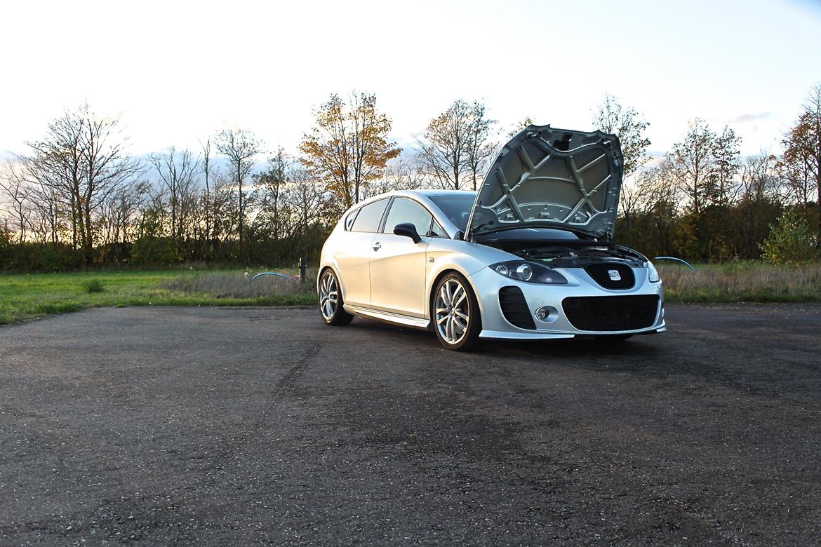 Seat Leon 1P Cupra billede 13