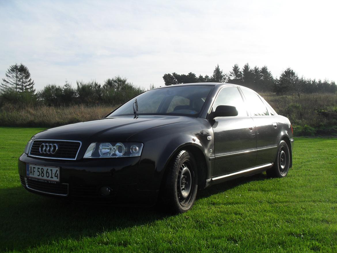 Audi A4 B5 frontliftet til b6 custom made billede 3