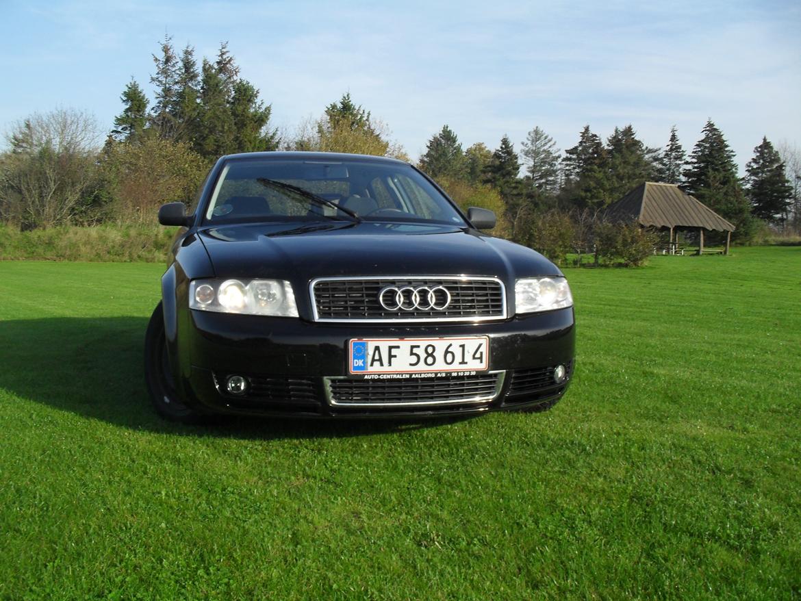 Audi A4 B5 frontliftet til b6 custom made billede 2