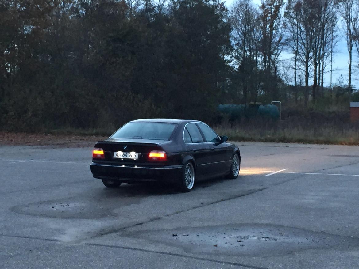 BMW E39 520i billede 11