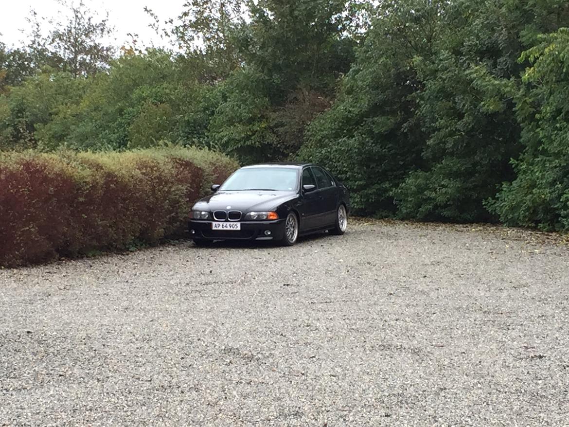 BMW E39 520i billede 13