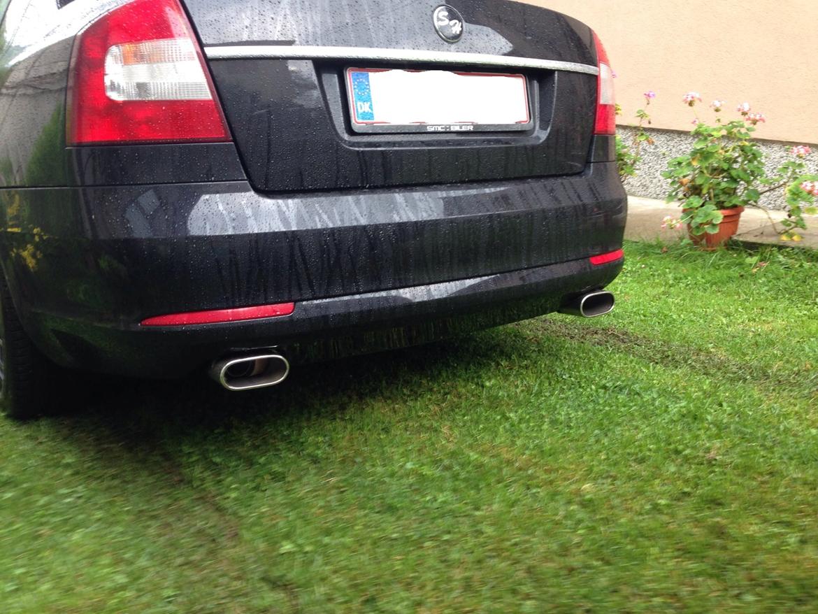 Skoda Octavia GreenLine - Dobbelt udstødning, ny skilt billede 3