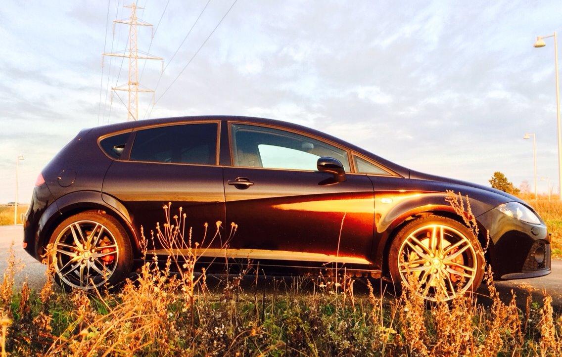 Seat Leon Cupra (solgt) billede 1