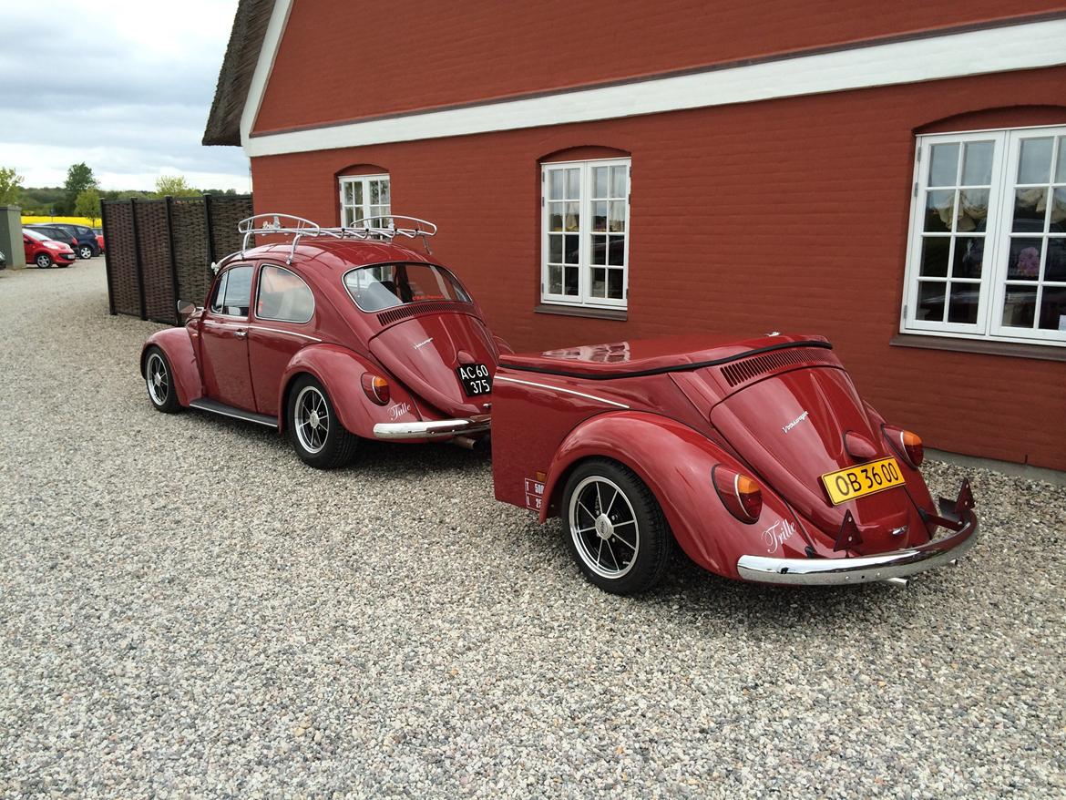 VW Bobbel "Tulle" billede 13