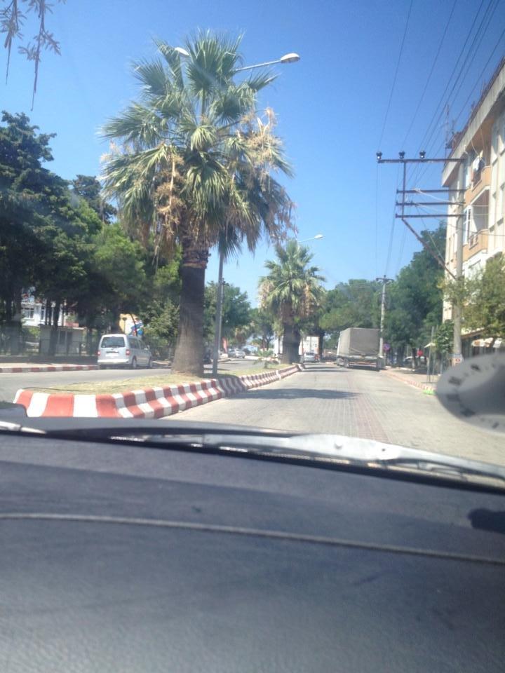 BMW E46 320D billede 7