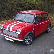 Mini 1000