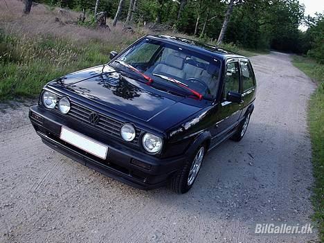 VW Golf Manhattan # Solgt # - En tur i skoven. billede 1