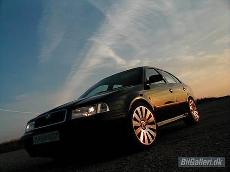 Skoda Octavia TDI SLX - Taget i solnedgang ved vestkysten. billede 1