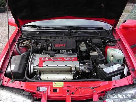 Opel calibra billede 2