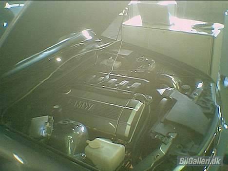 BMW E36 320I turbo billede 6