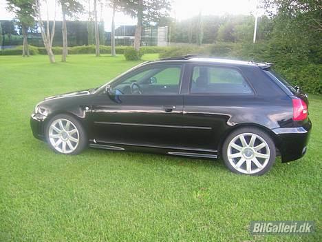 Audi A3 1.8T Ambition billede 6