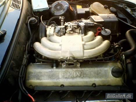 BMW e30 billede 6