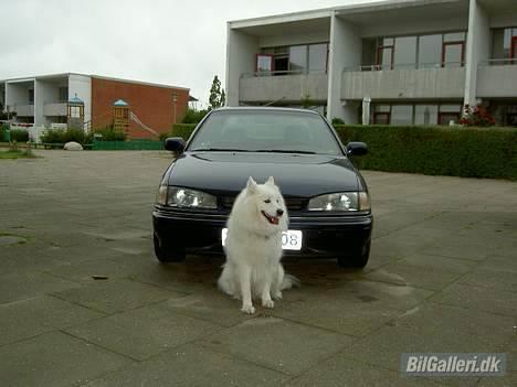 Hyundai elantra SOLGT billede 5