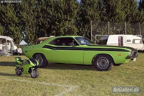 Dodge Challenger - Pocketbike i samme farver.... billede 1