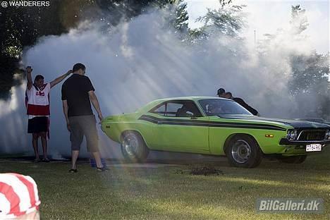 Dodge Challenger - Billederne er tager fra Mopar træf 30/6 - 2/7 2006 billede 2