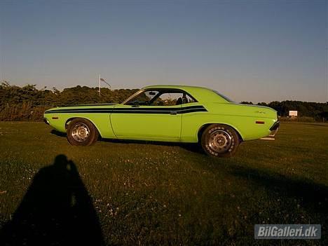 Dodge Challenger billede 5