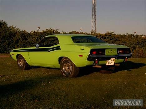 Dodge Challenger billede 6