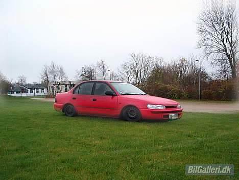 Toyota Corolla SOLGT. - Hehe, sådan skal den sænkes. billede 11